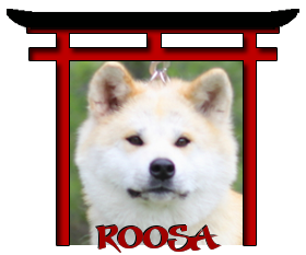 roosa.png